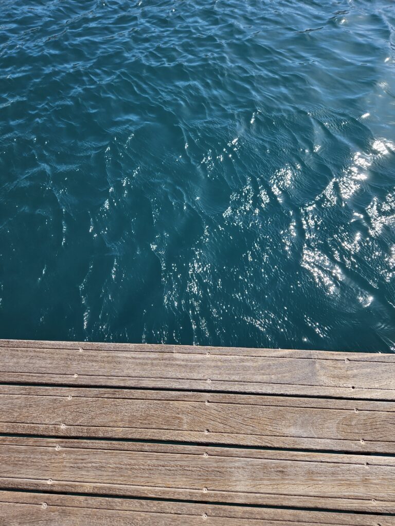 20251129_143108
